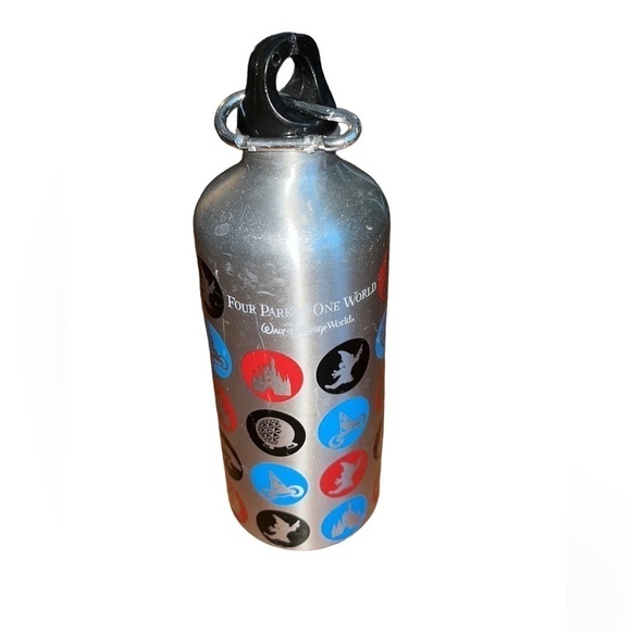 Disney Four Parks One World water bottle - Picture 1 of 5